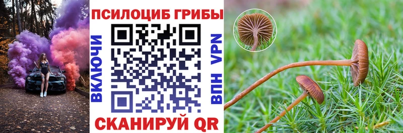 Галлюциногенные грибы мицелий  Купить где  Калачинск 
